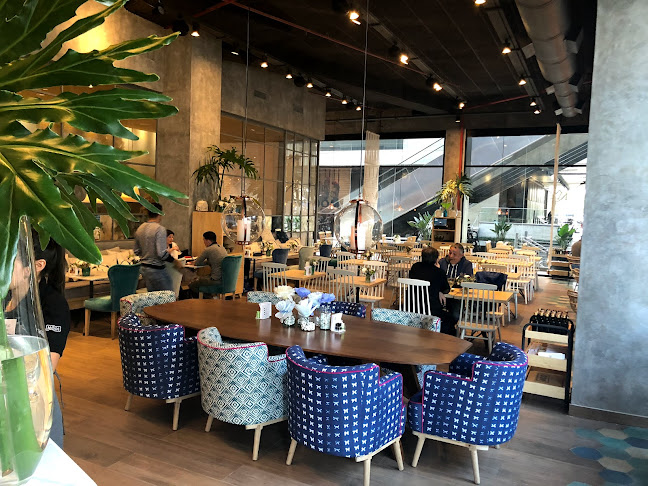 Opinii despre Möoi Vicente López în Vicente López - Gastronomía y hostelería