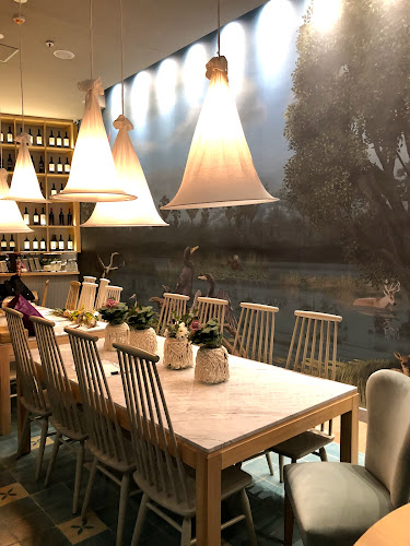 Möoi Vicente López