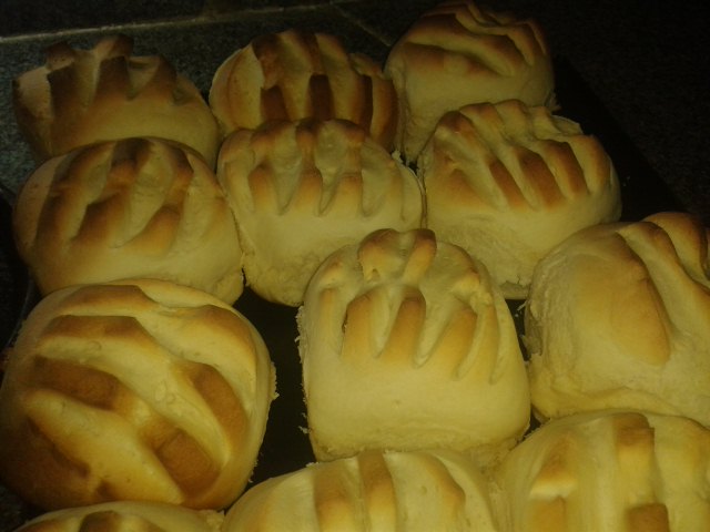 New life Resto-Bar - Gastronomía y hostelería