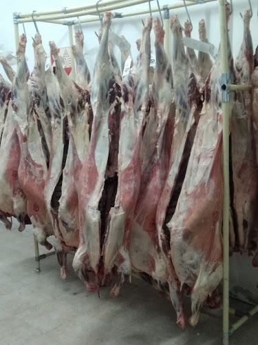 Av. Manuel Belgrano 1523, V9420 Río Grande, Tierra del Fuego