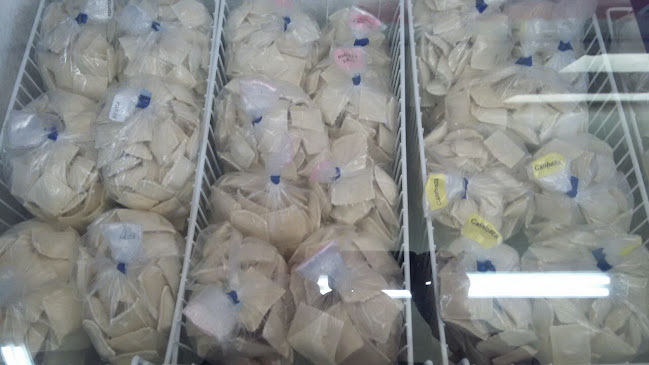 Russomando Delicias Caseras - Rada Tilly