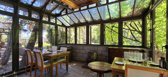 Pan y Oliva de Zuelo. - Maipú