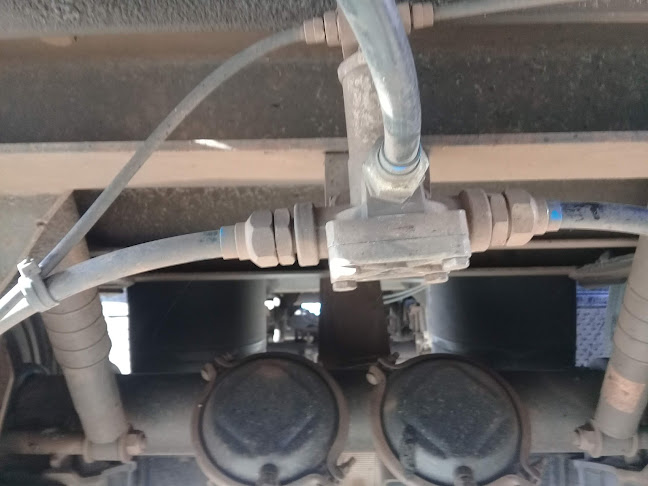 Pizzería Pizza's - Gastronomía y hostelería