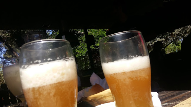 Pizza Zeta Parque Sarmiento Restaurante - Gastronomía y hostelería