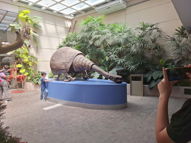 Opinii despre Mercado Armonía în Santiago del Estero - Gastronomía y hostelería