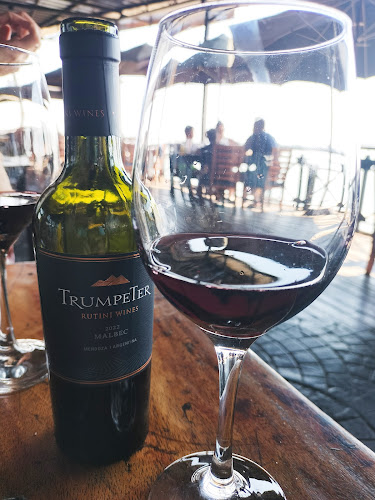 Comentarii opinii despre El Mirador del Paraná - Parilla Restaurant