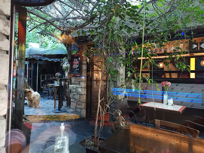 Comentarii opinii despre Unattimo Café Bar