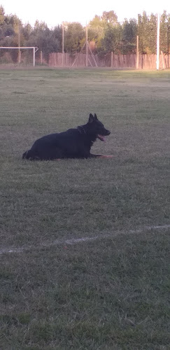 Salon La Quinta - Gastronomía y hostelería