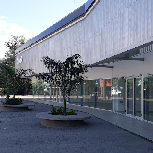 chori plaza - Gastronomía y hostelería