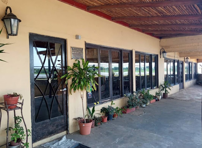 Opinii despre La Vuelta Del Pirata en Los Zapallos în Santa Rosa de Calchines - Gastronomía y hostelería