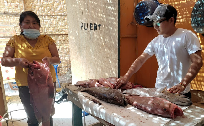 Comentarii opinii despre El faro