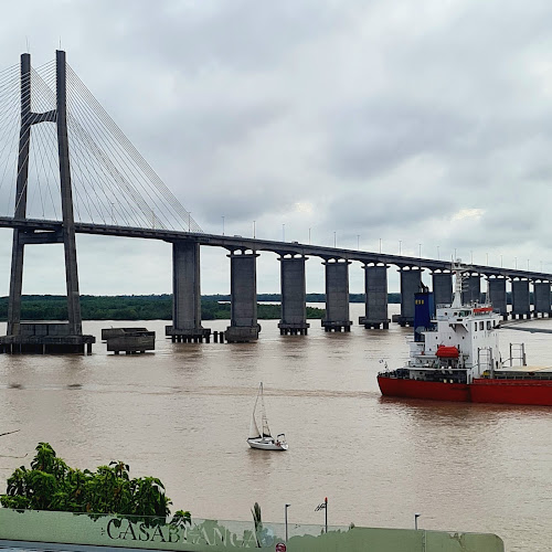 Comentarii opinii despre Casablanca