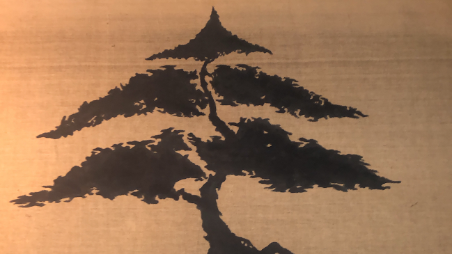 2799-2899, B1664IUA Manuel Alberti Buenos Aires AR, Domingo Matheu, B1664 IUC