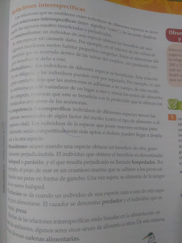 Opinii despre Hamburguesería Isa în Corrientes - Gastronomía y hostelería
