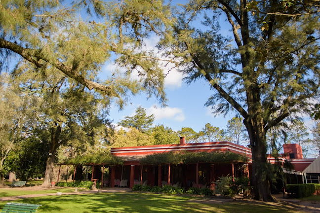 RODIZIO Campo Luján - CWS