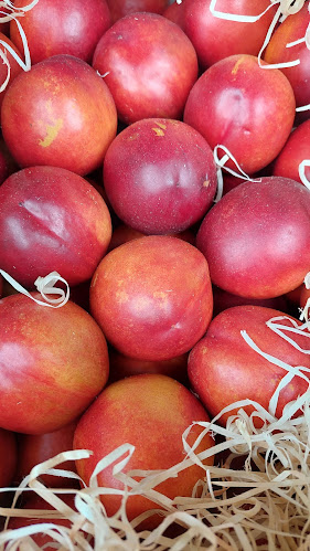 VERDULERIA ,CARNICERÍA Y ALMACÉN (LOS HERMANOS) - Béccar