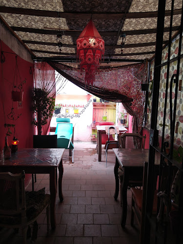 Elefante Bengal •ꜱᴀʙᴏʀᴇꜱ ᴅᴇ ʟᴀ ɪɴᴅɪᴀ• - BOF