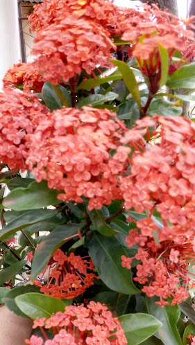 Opinii despre Öpən mind 24 în Gualeguaychú - Gastronomía y hostelería