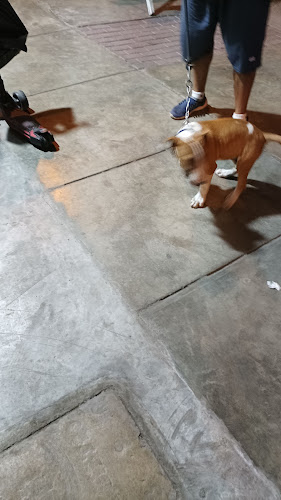 Pizza Jose - Posadas