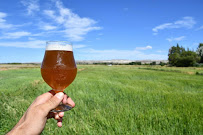 Cooperativa Pulpo Rojo