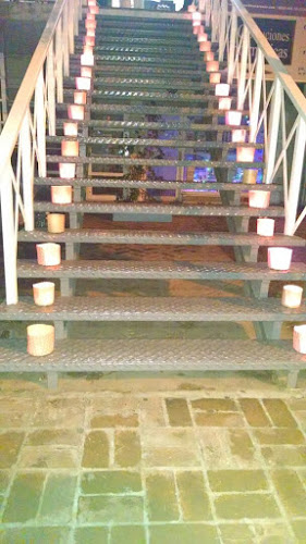 Comentarii opinii despre Springbok Bar