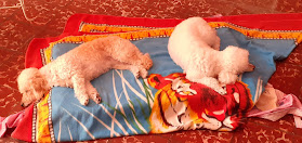 Restaurant San Cayetano