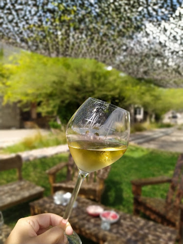 Ruta Provincial 33 km 7,5, M5531 Maipú, Mendoza