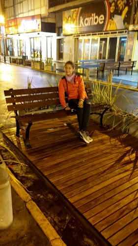 Alfajores Necochea - Gastronomía y hostelería