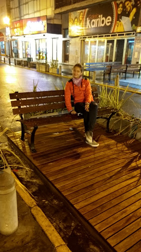 Comentarii opinii despre Alfajores Necochea