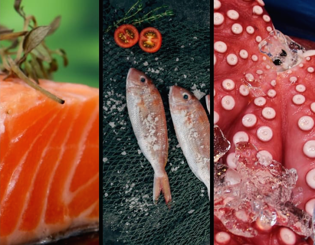 Opinii despre CHICHILO în Buenos Aires - Gastronomía y hostelería