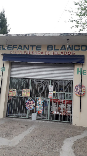 Elefante Blanco Distribuidora De Helados