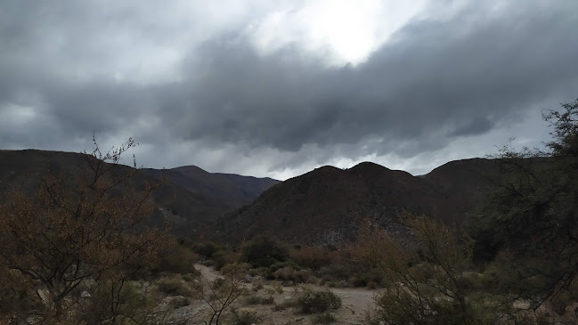 Opinii despre El Rincón în San Miguel de Tucumán - Gastronomía y hostelería