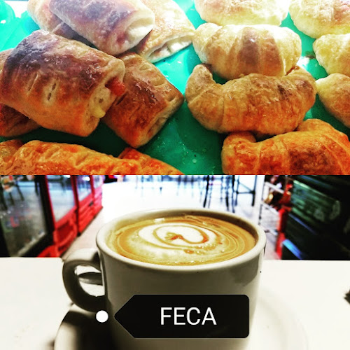 Comentarii opinii despre FECA