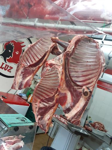 Manuel Castro, U9120 Puerto Madryn, Chubut