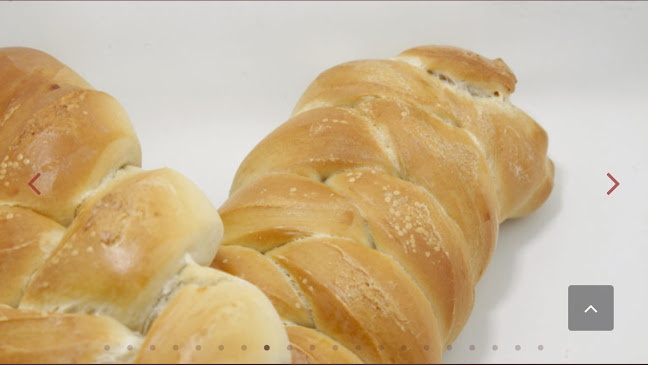 Club Martino Padua Directorio