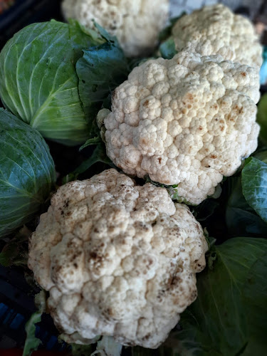 BYP, Av. Hernandarias 228, H3500 Resistencia, Chaco