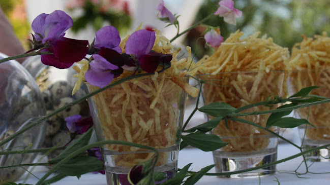 Estilo Propio - Paraná