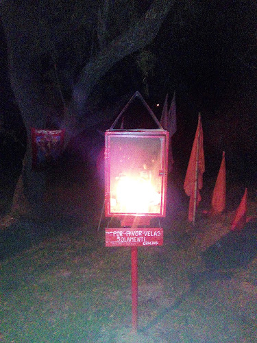 Hamburguesería Marega - Gastronomía y hostelería