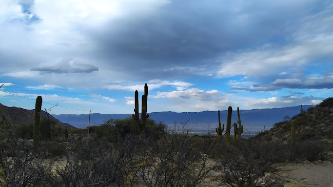 Comentarii opinii despre El Rincón