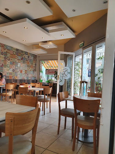 Comentarii opinii despre Macacha