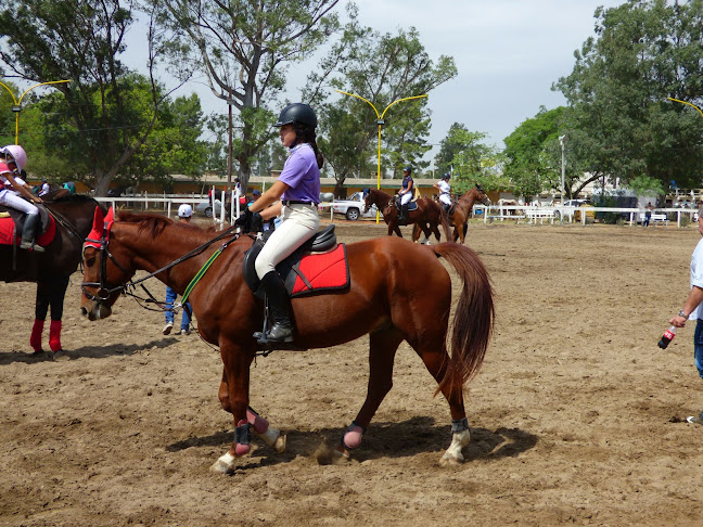 Comentarii opinii despre Jockey Club
