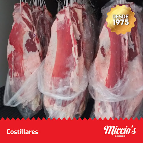 Comentarii opinii despre Miccio´s