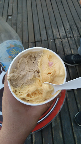 Comentarii opinii despre Trivento heladería artesanal