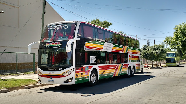 Opinii despre Mercadito Tolelli în Maipú - Gastronomía y hostelería