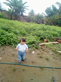 Comentarii opinii despre Sin Fronteras SAC