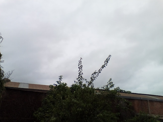 Fernando - Sáenz Peña