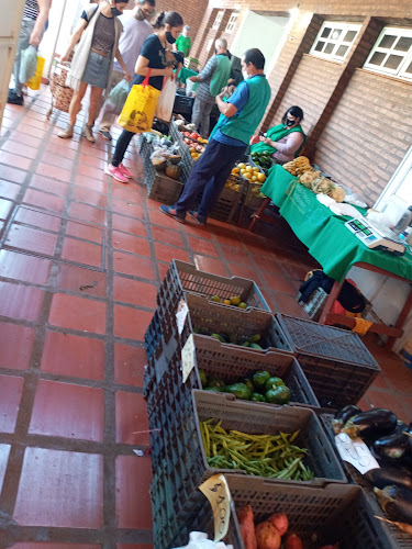 Feria Franca posadas
