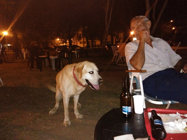 Fede Carribar - Reconquista