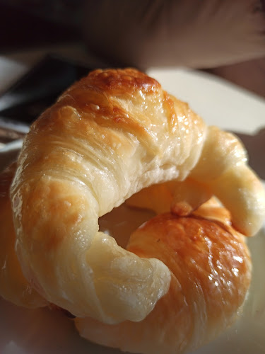 Comentarii opinii despre MLCalentitas