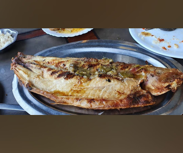 La Vuelta Del Pirata en Los Zapallos